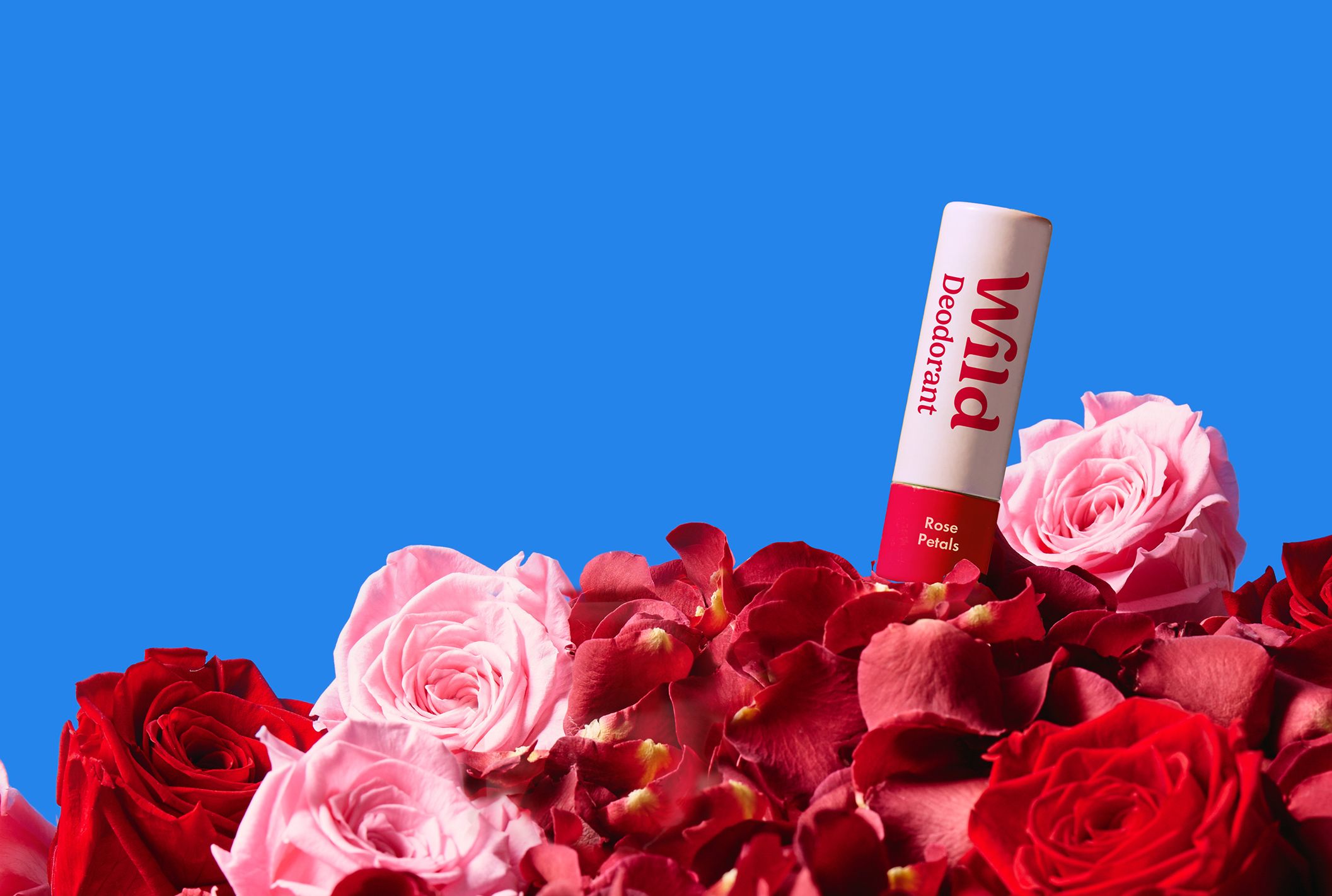 Caption: a tube of lip balm sitting on top of a bouquet of flowers