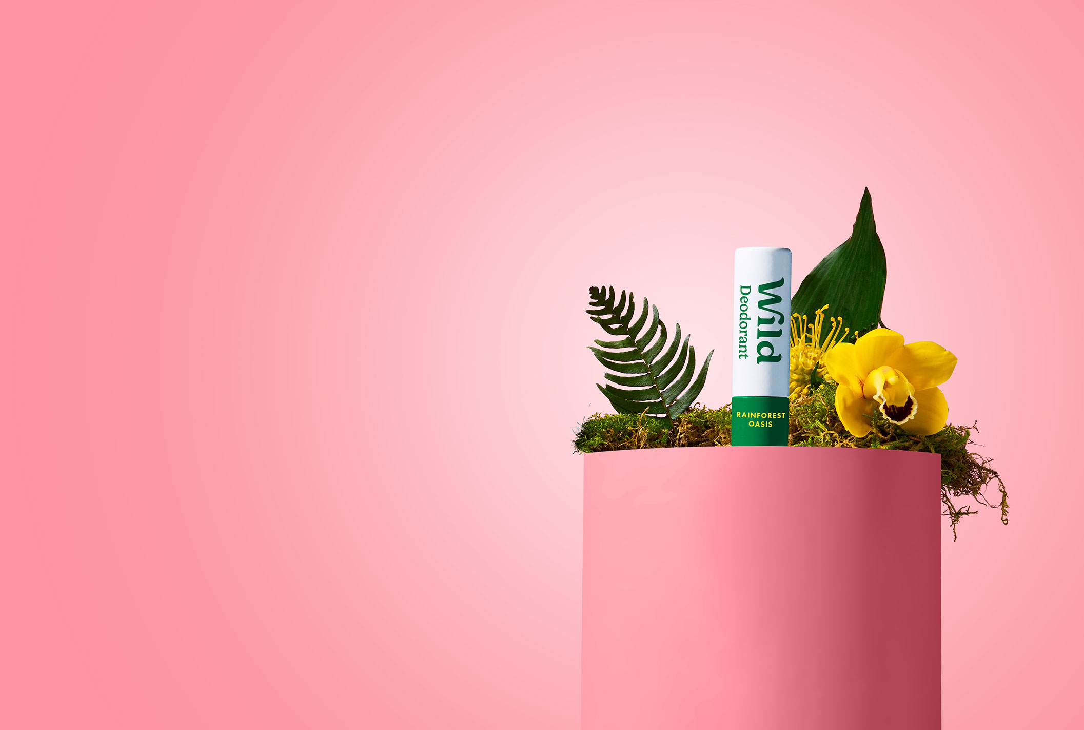 Caption: a tube of toothpaste and a tube of toothpaste in a pink