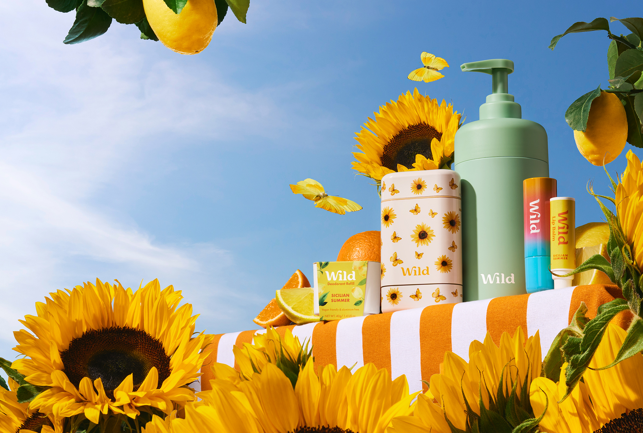 Bildunterschrift: Die Sonnenblumen blühen neben den Sonnenblumen