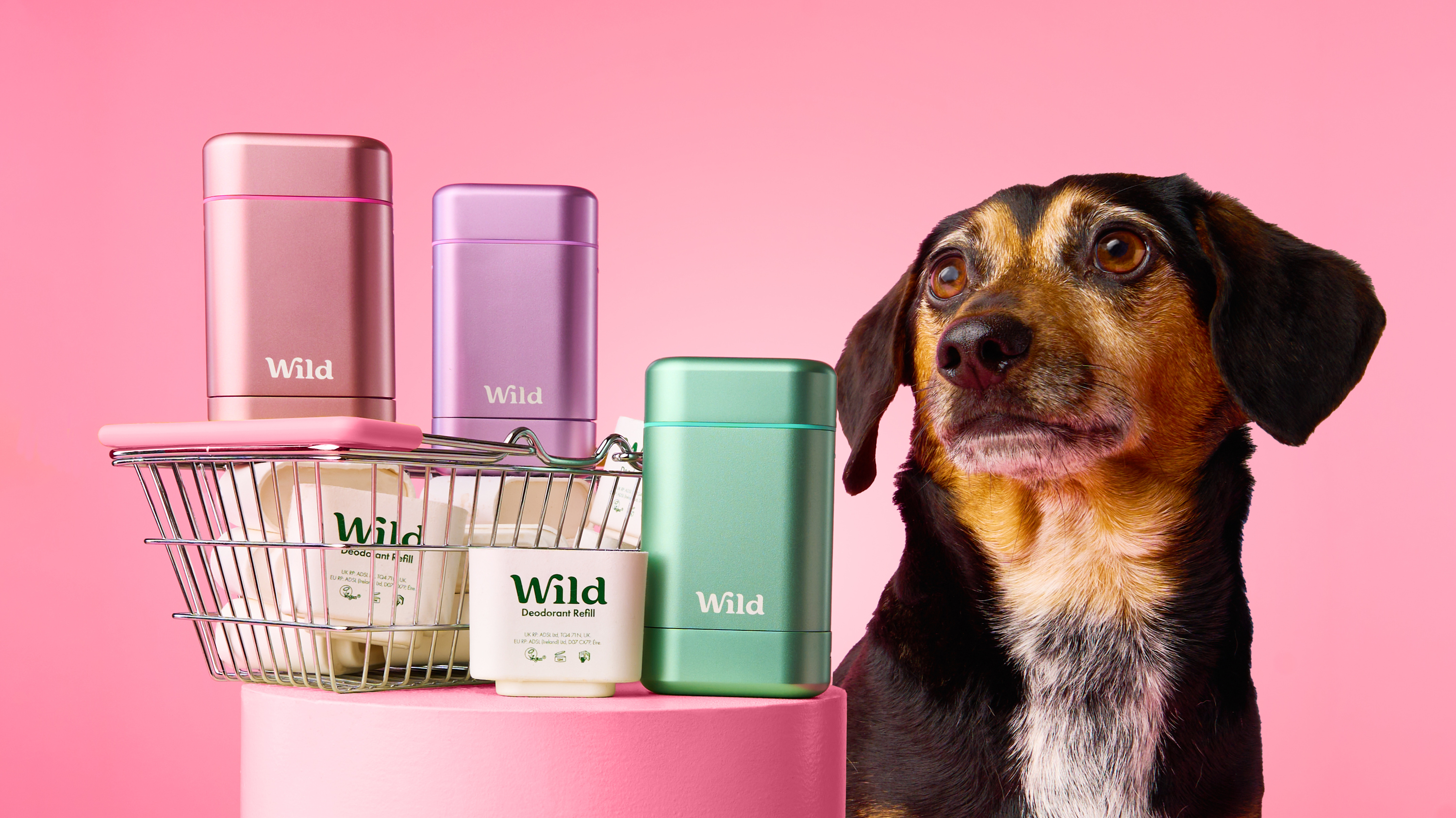 Légende : un chien à côté d'un panier d'articles de soins personnels