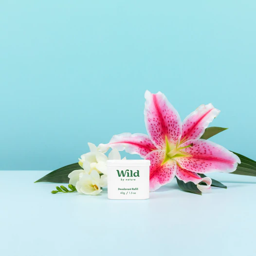 Caption: a pink and white flower next to a white container