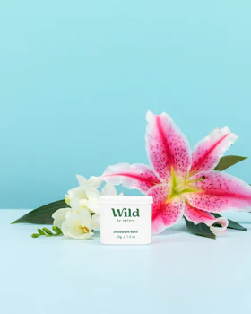 Caption: a pink and white flower next to a white container