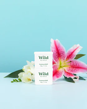 Caption: a pink flower and some white flowers on a table