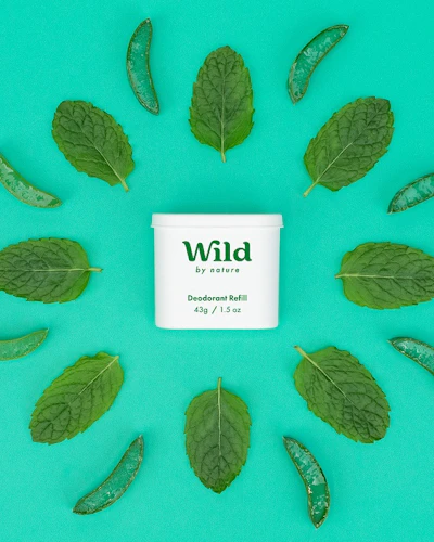 Bijschrift: een groep groene bladeren rond een witte container