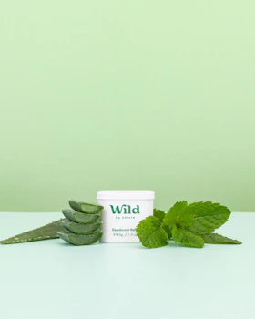 Caption: a green plant next to a white container of wild