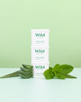 Caption: a stack of three stacks of mints next to a plant