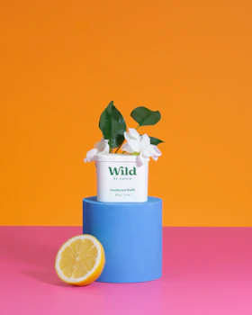 Caption: a blue container with a plant and a lemon on a pink and orange background