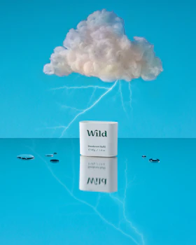 Onderschrift: een wolk met een bordje wild ervoor