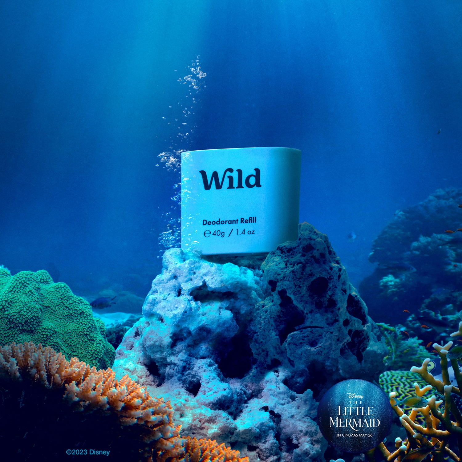 Caption: a sign that is on top of some corals