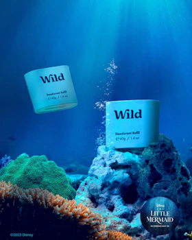 Caption: a blue ocean with a sign that says wild and another sign that says little mermaid