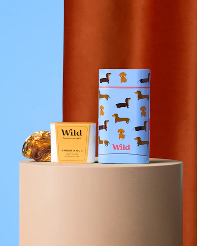 Caption: a couple of items sitting on top of a table