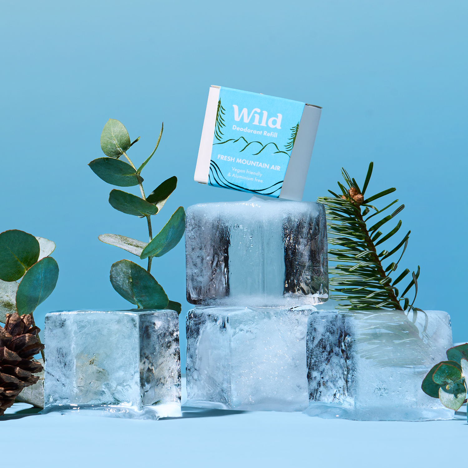 Caption: an ice block with a book on top of it