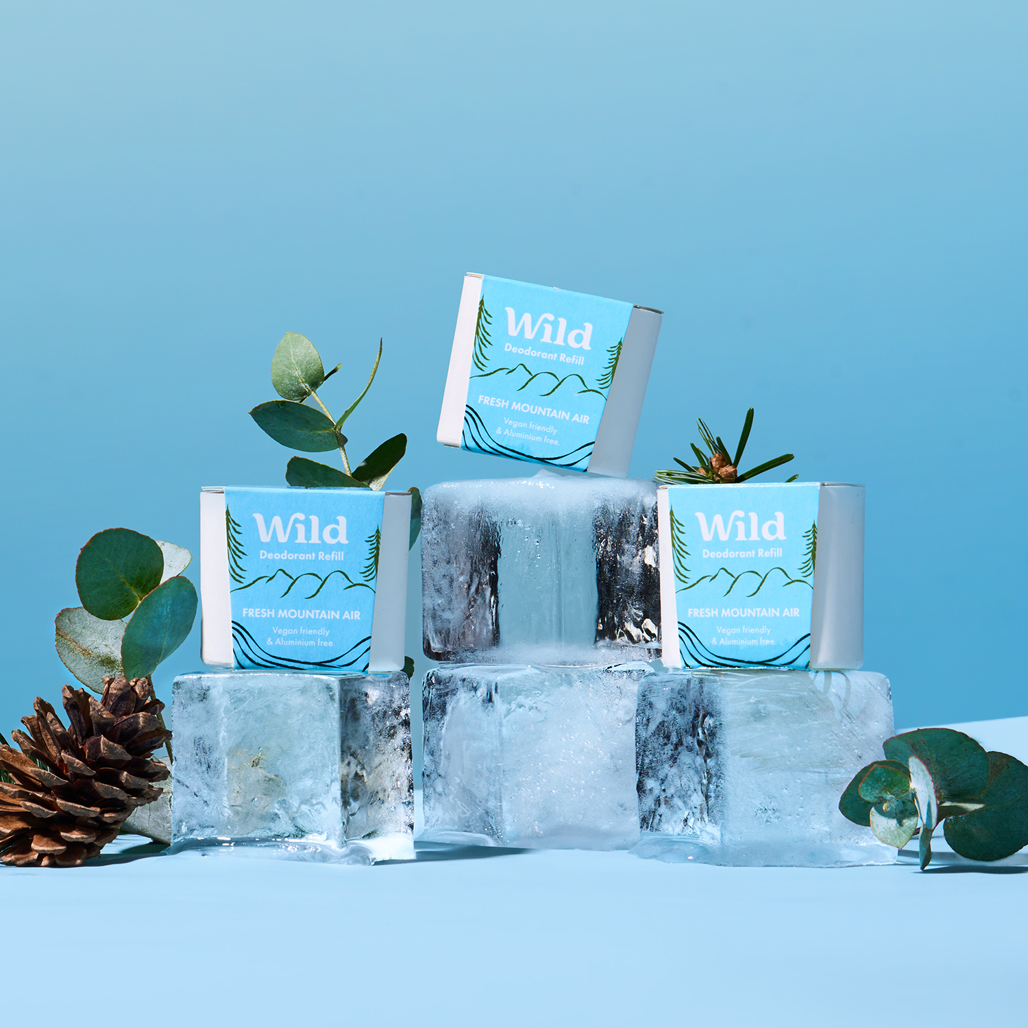 Caption: a pile of ice cubes sitting next to a pine cone