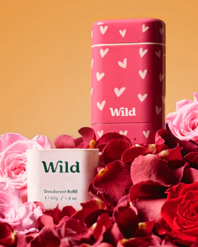 Caption: a couple of pink flowers sitting next to a pink container