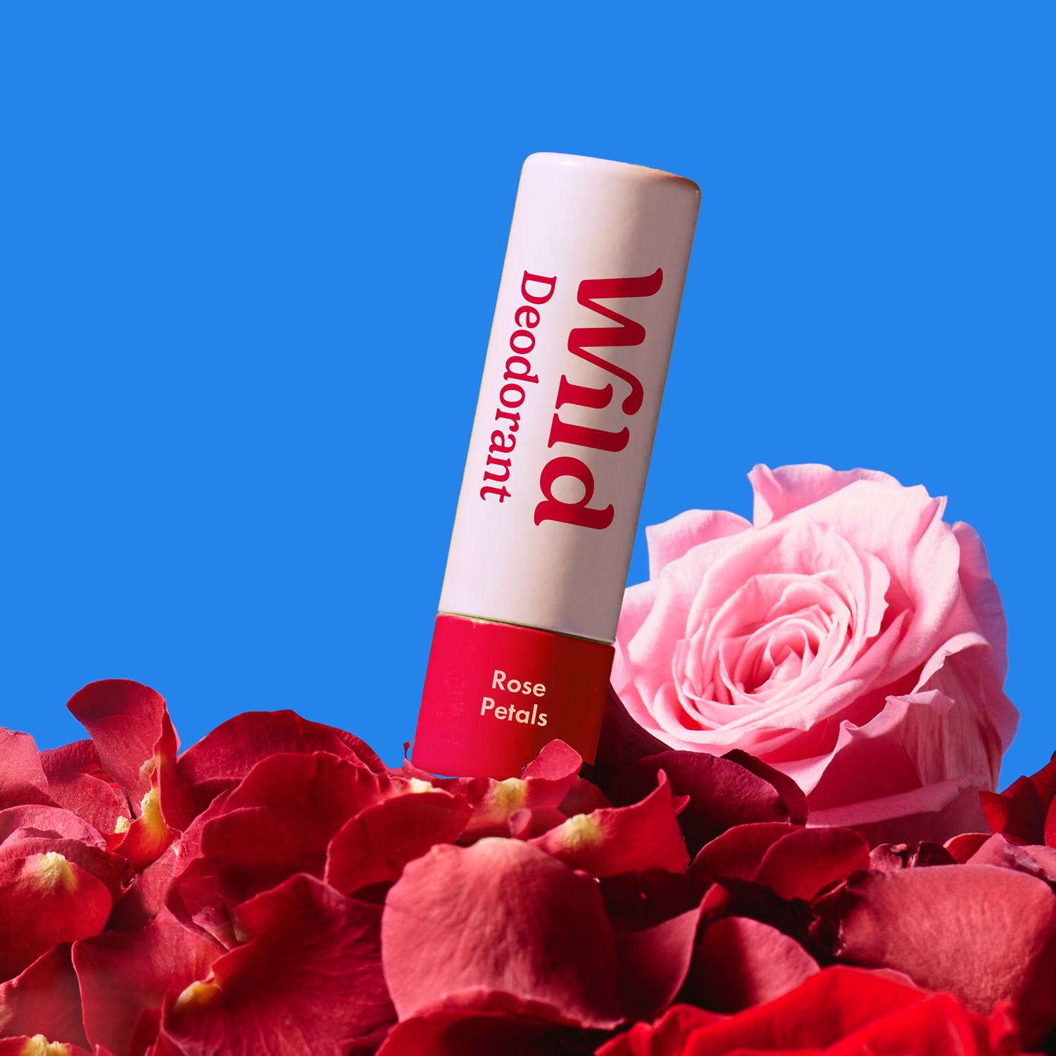 Bildunterschrift: eine Tube Deodorant neben einer rosa Rose