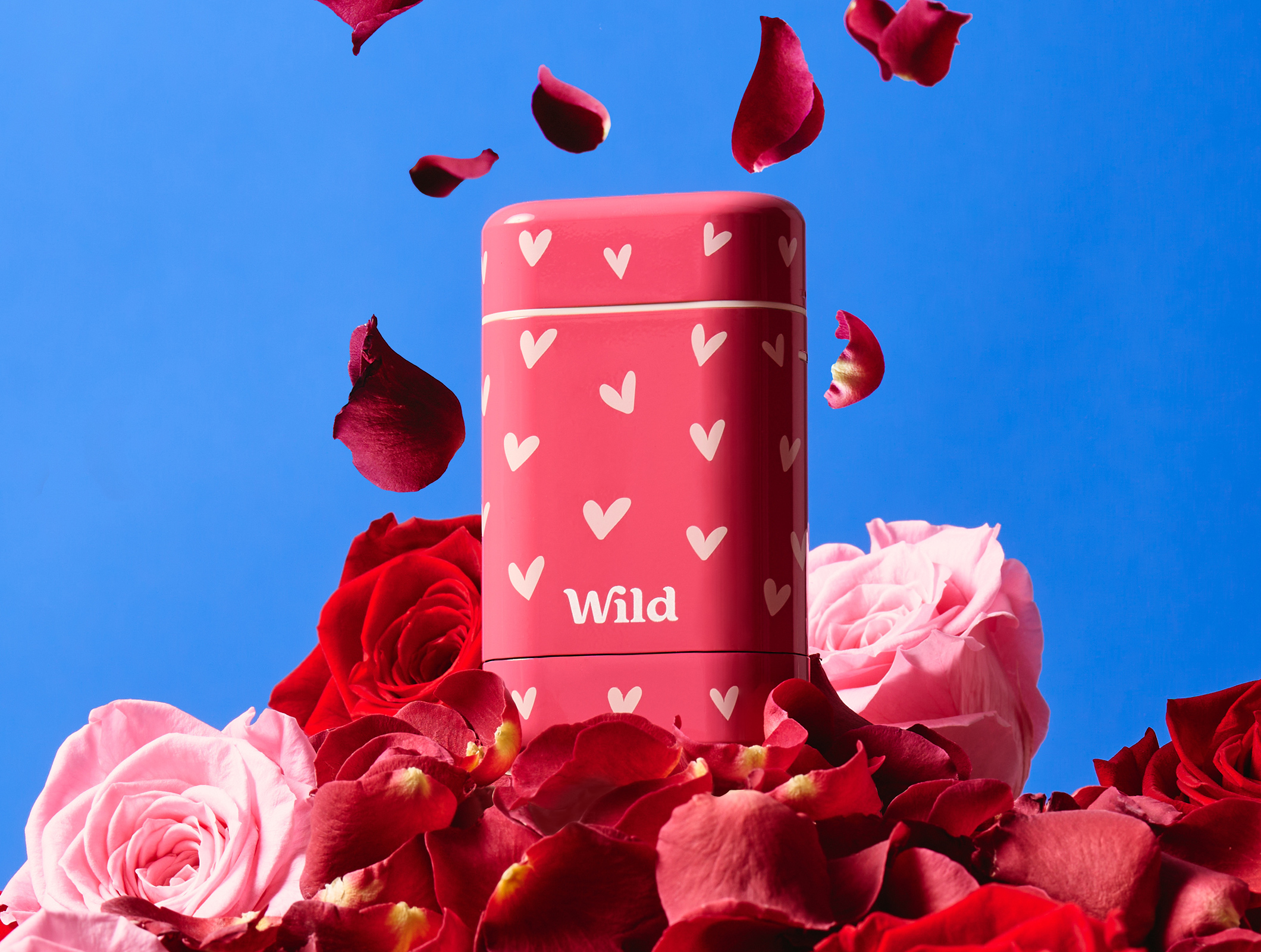 Caption: a close up of a pink container surrounded by flowers