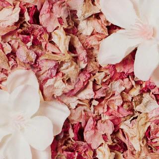 Caption: a bunch of flowers that are on a table