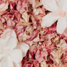 Caption: a bunch of flowers that are on a table