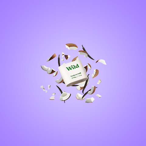Caption: a white box with the word wild on it surrounded by birds