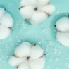 Caption: a group of cotton balls floating in a pool of water
