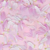 Caption: pink and white flowers on a pink background