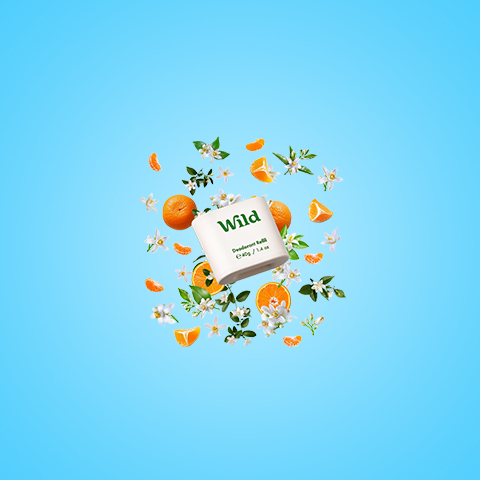Légende : un livre entouré d'oranges et de fleurs sur fond bleu
