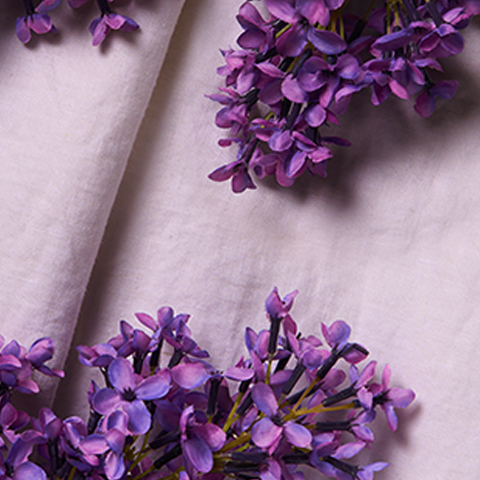 Caption: a bunch of purple flowers sitting on top of a white sheet