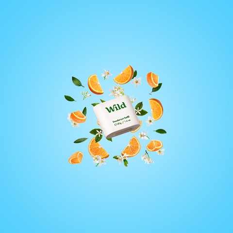 Caption: a book surrounded by oranges and leaves on a blue background