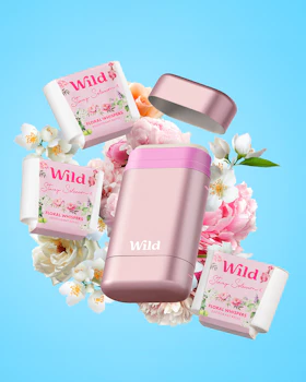 Caption: a bunch of pink and white flowers surrounding a pink and white container