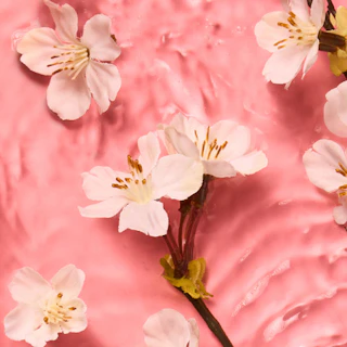 Caption: a close up of a cake with flowers on it