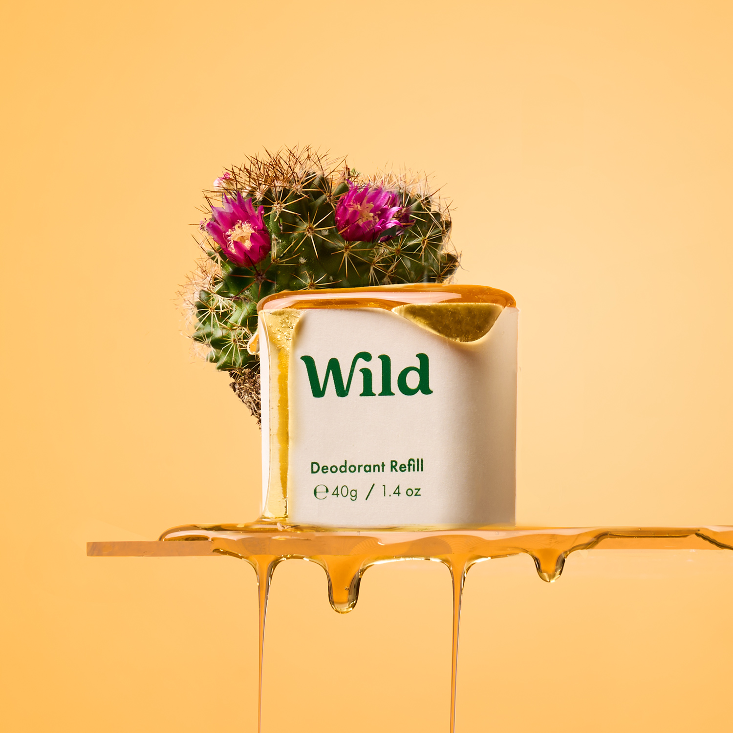 Onderschrift: een bus wilde deodorant naast een potplant