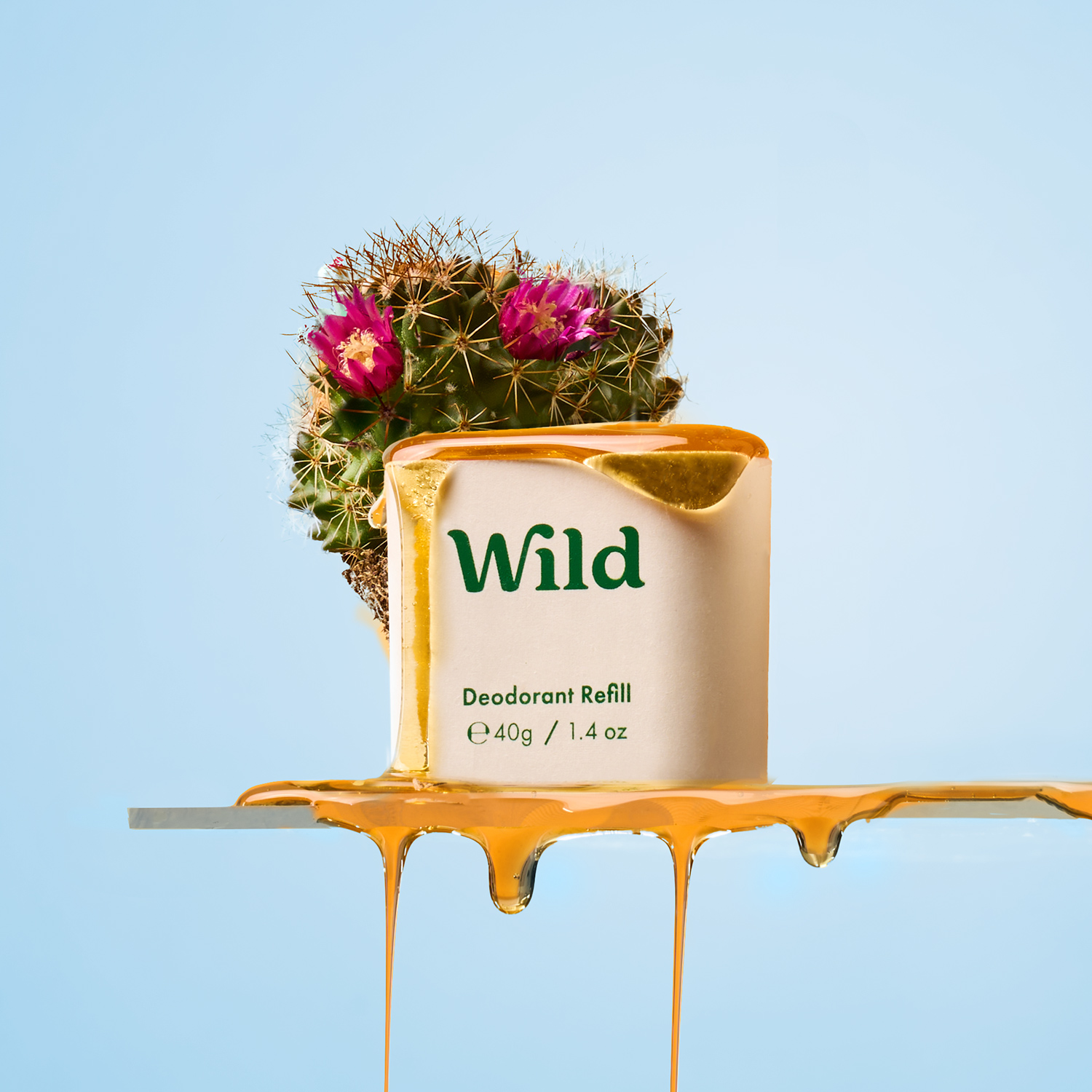 Onderschrift: een taart met een potplant erop