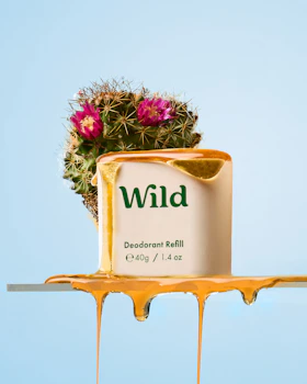 Caption: a cake with a potted plant on top of it
