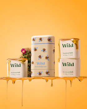 A Bee case with 3 refills