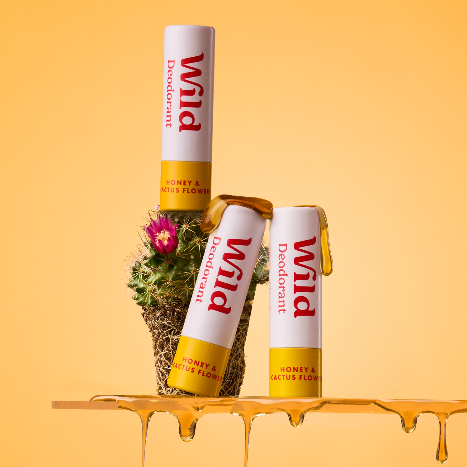 Caption: a couple of tubes sitting on top of a shelf