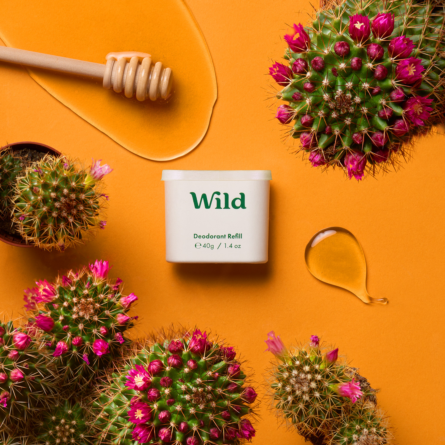Honey & Cactus Flower Sensitive Starter Pack - Wild US