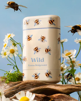 Caption: a white and blue tin with bees and daisies on it
