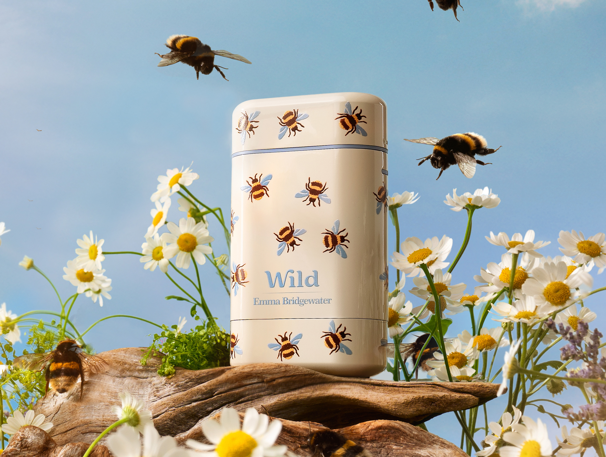 Légende : une boîte de conserve blanche et bleue avec des abeilles dessus, assise dans un champ de marguerites.