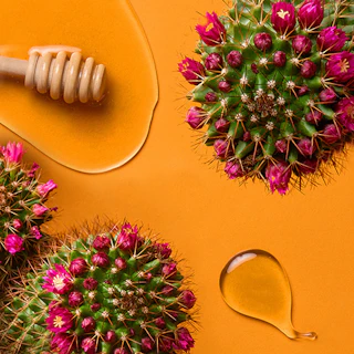 Caption: a bunch of flowers and a honey comb on a table