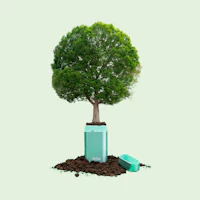 Caption: a tree is growing out of a trash can