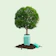 Caption: a tree is growing out of a trash can