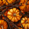 Caption: a pile of orange pumpkins sitting next to each other