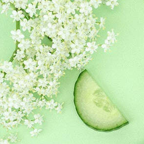 Caption: a cucumber and flowers on a green surface