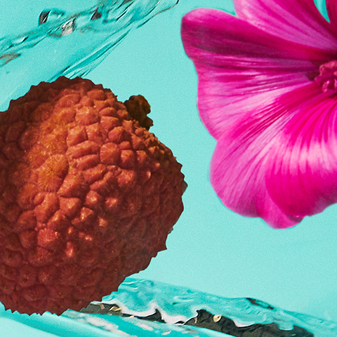 Légende : gros plan d'une fleur et d'un fruit