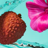 Bildunterschrift: Nahaufnahme einer Blume und eines Obststücks