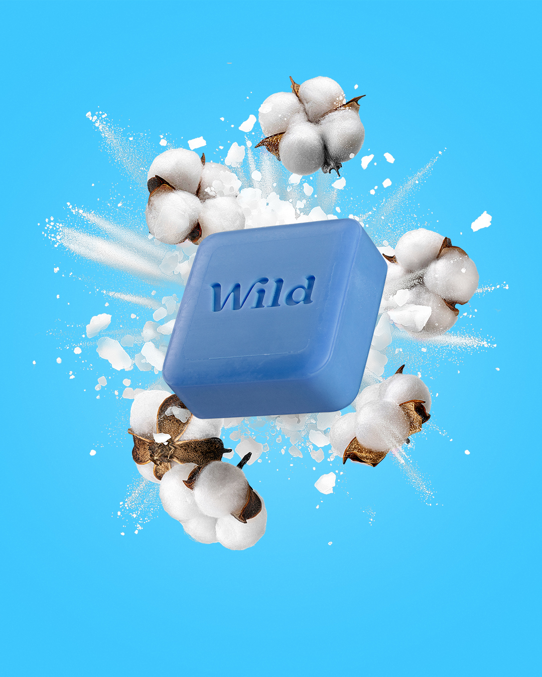 Légende : un carré bleu avec le mot "wild" entouré de coton.