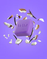Caption: a computer keyboard with the word wild written on it
