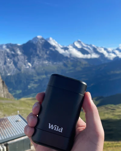 Caption: a hand holding a black lighter in front of a mountain range