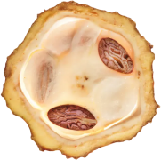 Caption: a piece of fruit with some seeds inside of it