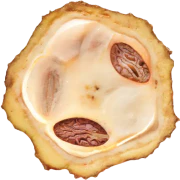 Caption: a piece of fruit with some seeds inside of it